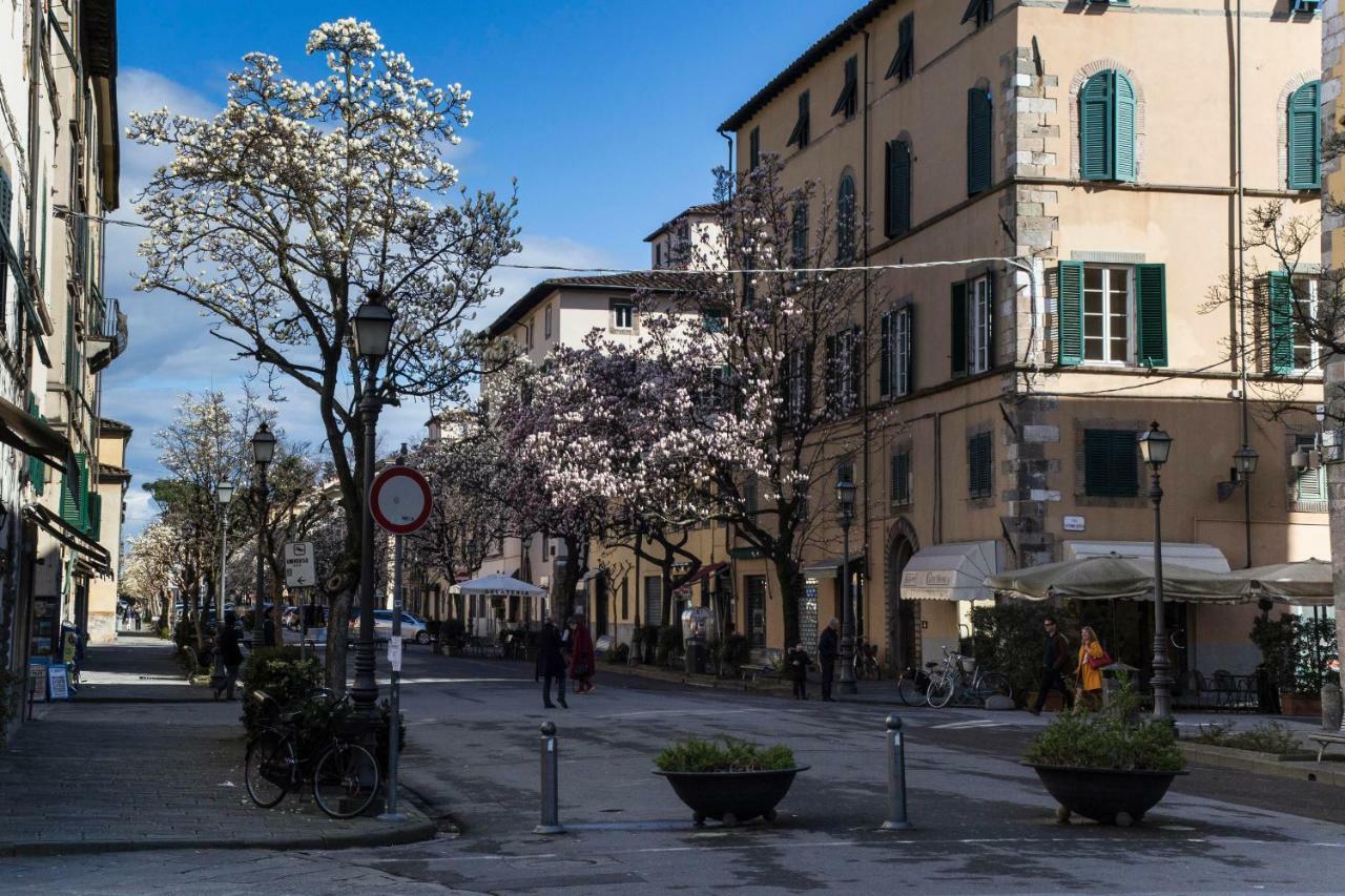 Casa Sophie Apartment Lucca Exterior photo